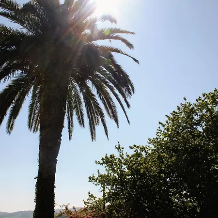 Prázdninový dům Casa La Palmera Gormazo