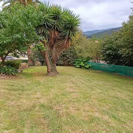 Casa La Palmera Holiday home *