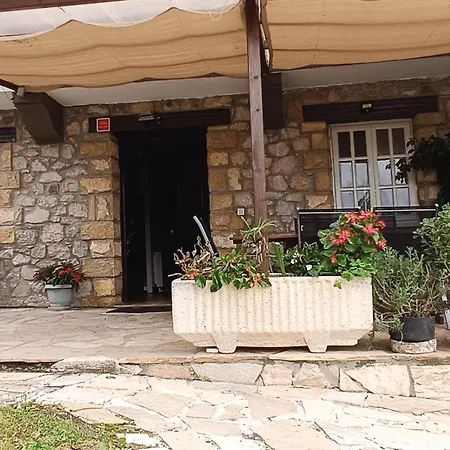Casa La Palmera *
