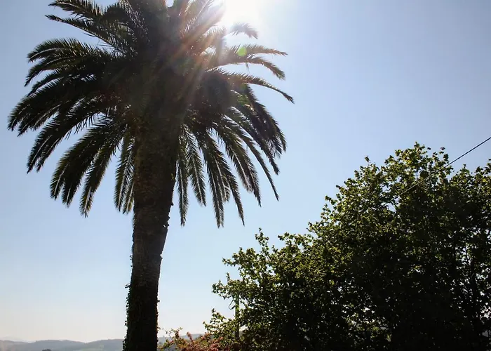 Casa vacanze Casa La Palmera Gormazo